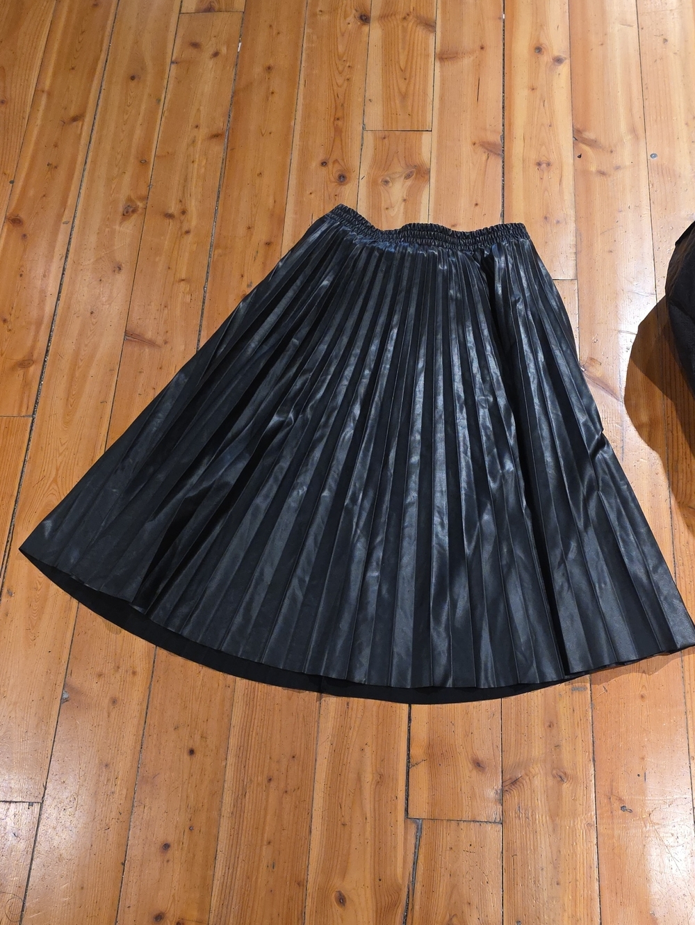 Max Studio Black Pleated Skater Skirt